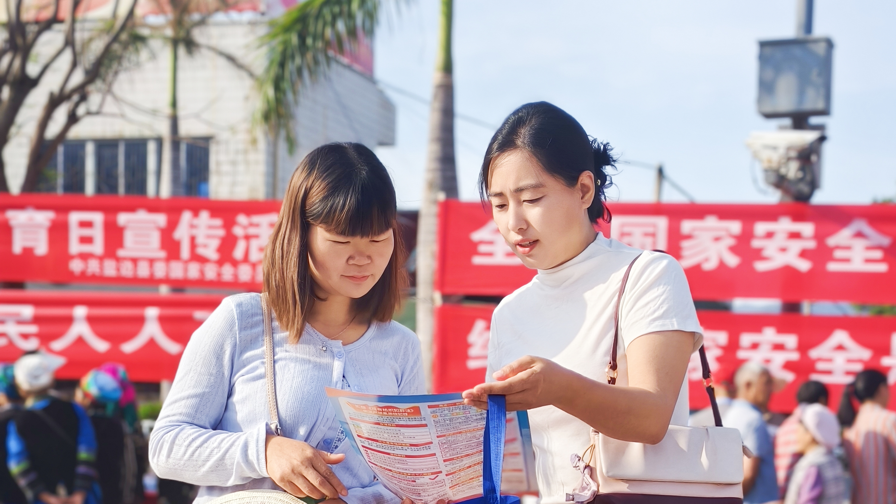 微信图片_20250415155220_副本